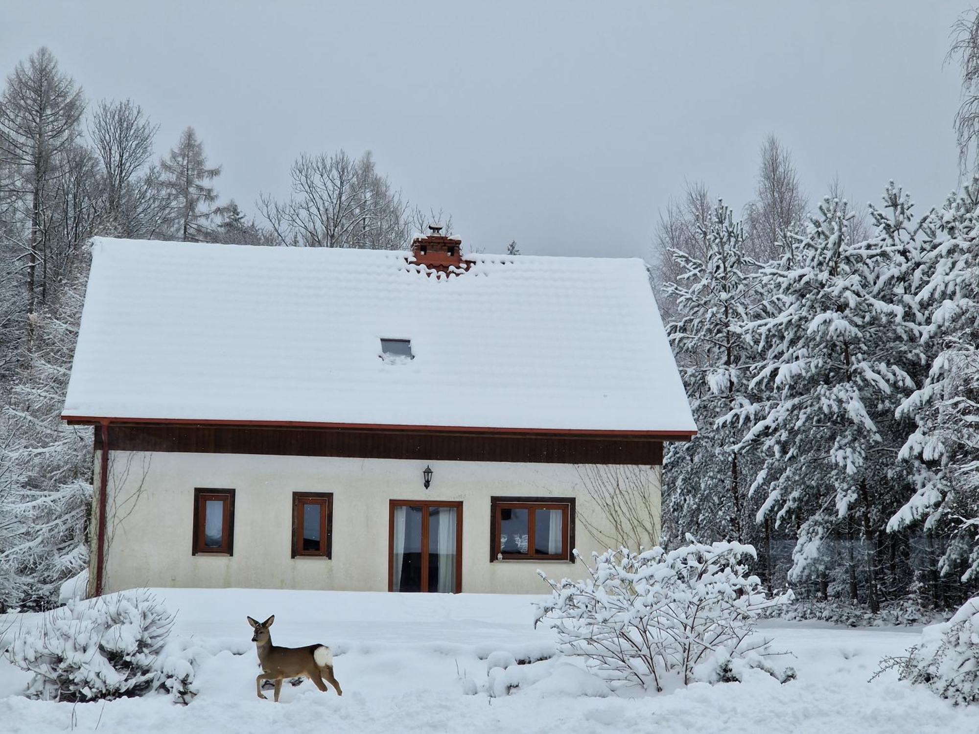 Villa Dom Na Pstraznicy Bad Kudowa Exterior foto